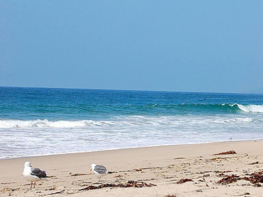 30 Pct Off!! Limited Time! Malibu Charming Getaway With King Bed, Near Beach Exterior photo