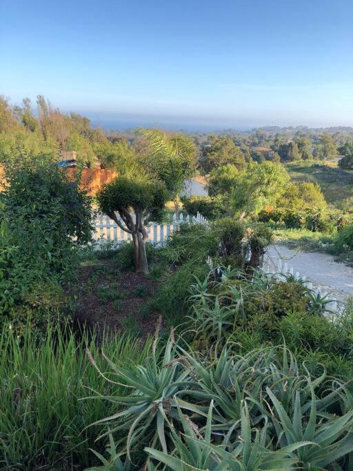 30 Pct Off!! Limited Time! Malibu Charming Getaway With King Bed, Near Beach Exterior photo